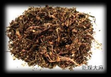 【悲報】中居正広、X子さんに焼け焦げラーメン送りまくって草ww