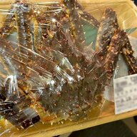 生タラバガニの衝撃！二重甲羅の謎とは？