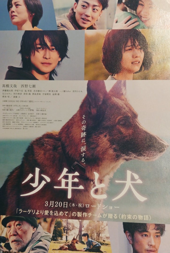 「少年と犬」が描く愛と絆：高橋文哉と西野七瀬が魅せる感動の共演