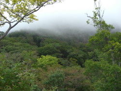 20101012-4