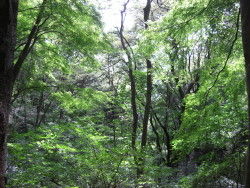 20101012-11