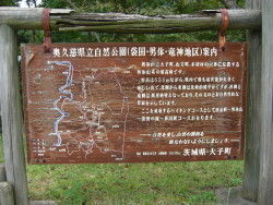 20101012-1