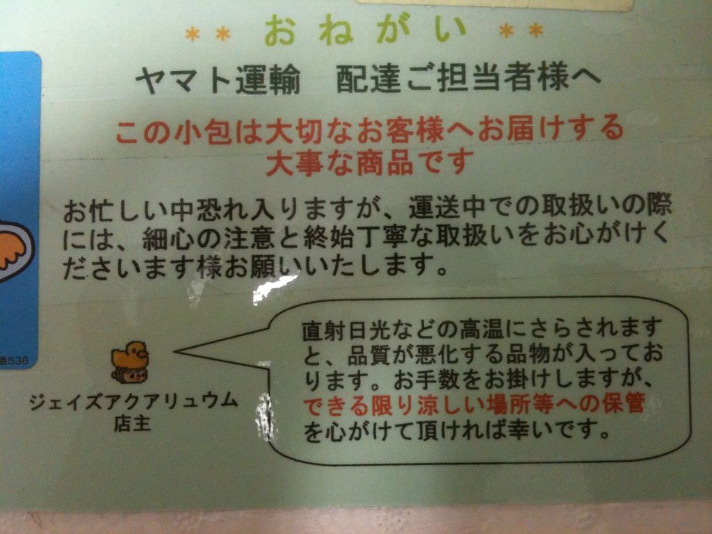 j sさんのライブロック すけちゃんの海水魚 j sさんのライブロック すけちゃんの海水魚