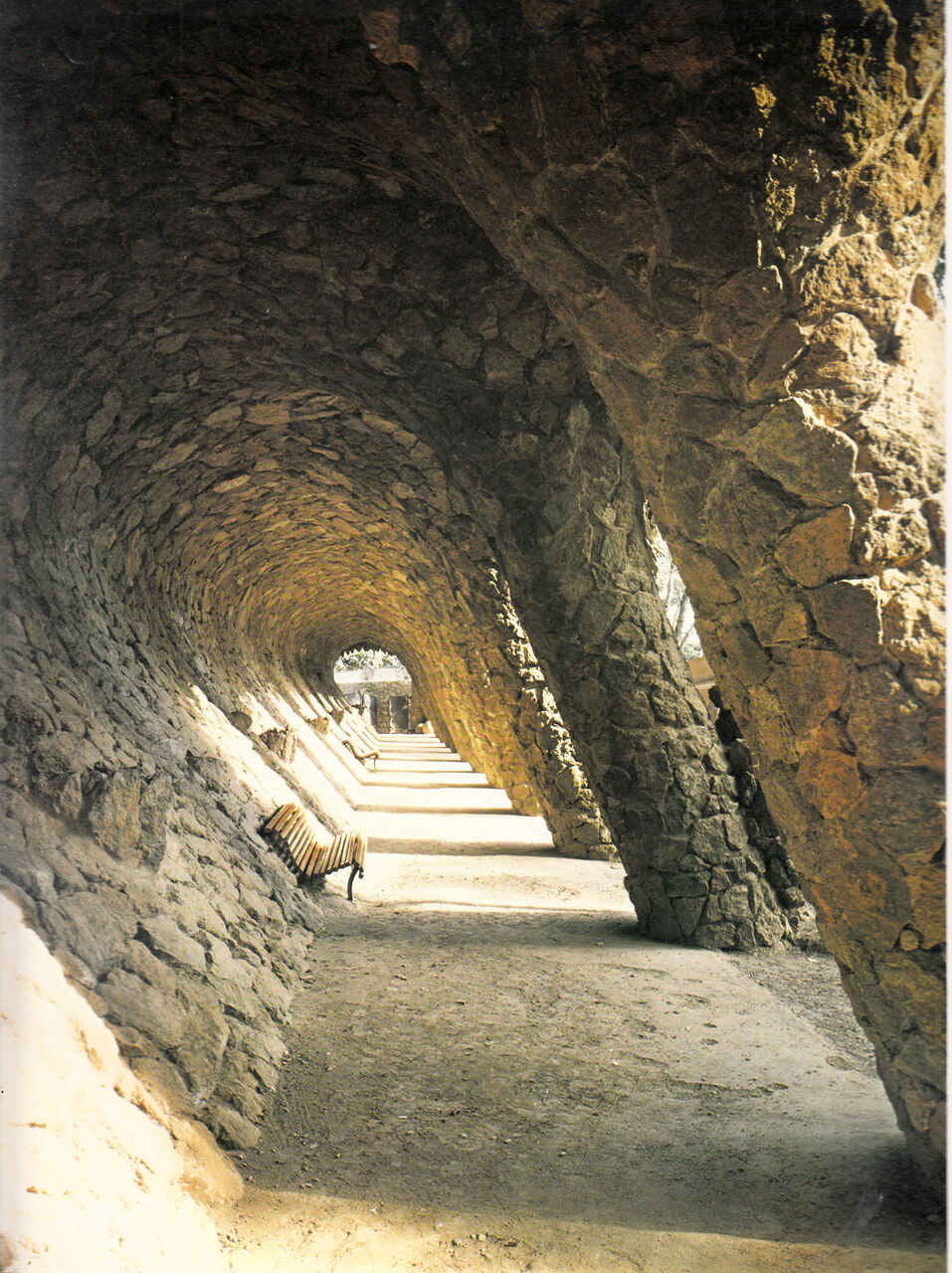 ビン・カシワ/ガウディーの庭 ビン・カシワ/ガウディーの庭