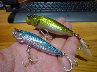 Blog ぷろぐ プログ その他の釣り Blog ぷろぐ プログ その他の釣り