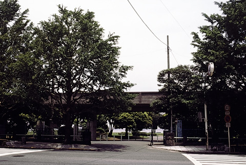 16-1980052908_1