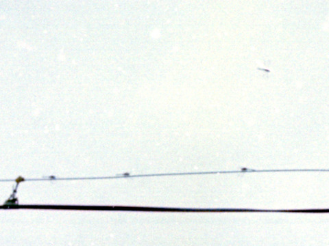 1976081915