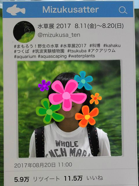 国立科学博物館 筑波実験植物園 茨城県つくば旅行 17 サイゴン トリビューン 国立科学博物館 筑波実験植物園 茨城県つくば旅行 17 サイゴン トリビューン