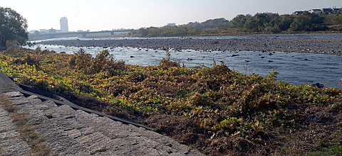 s20201118_083117