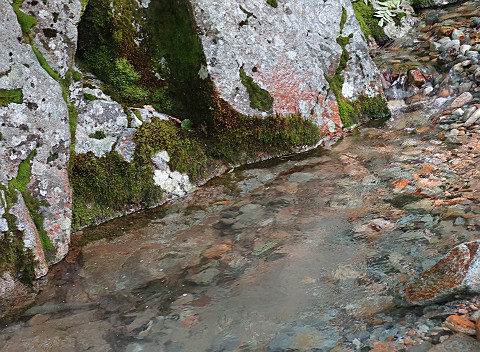 sIMG_0040