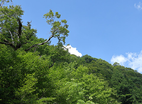 s20200905_6