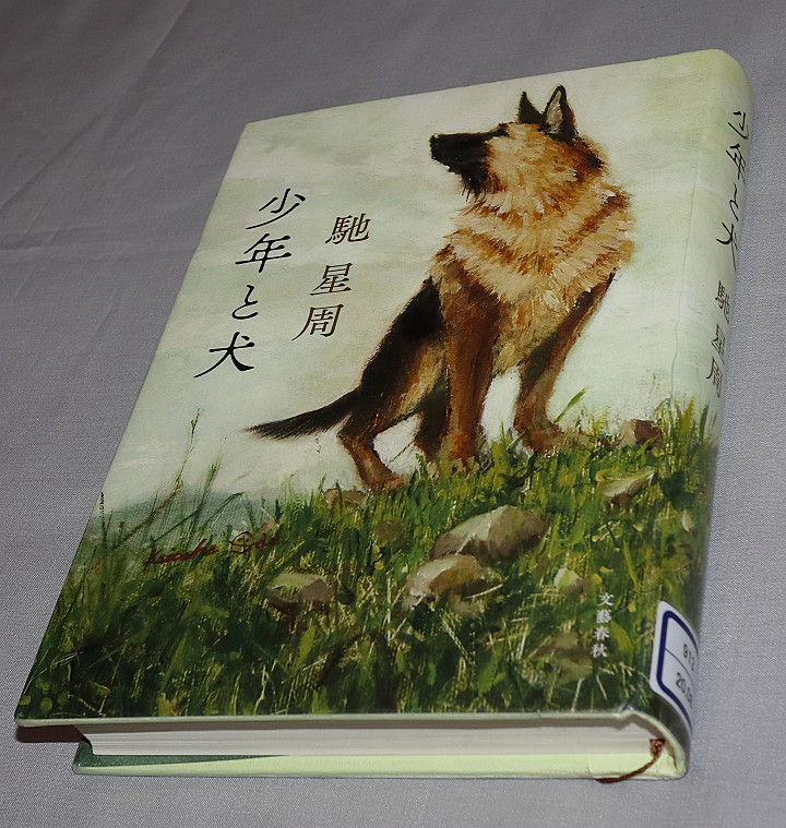 少年と犬 フライマンの詩 少年と犬 フライマンの詩