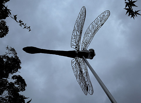 s20201005_1
