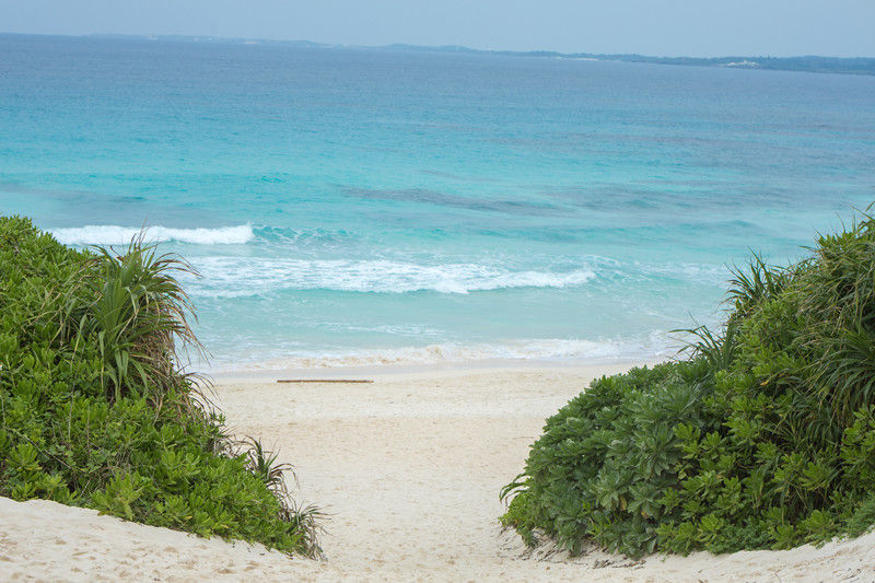 TSURU170321-85 mm-024_TP_V4