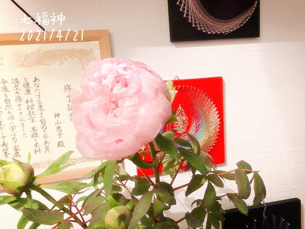 5775B79A-DC62-4C79-9122-F7634882CB5A