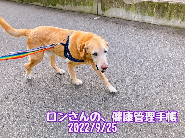E022E664-A56F-4205-8D7E-67AD094E6215