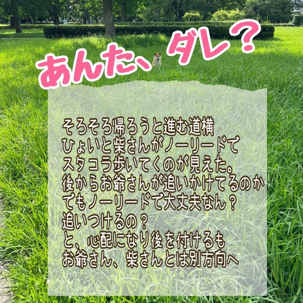20240719 (3)