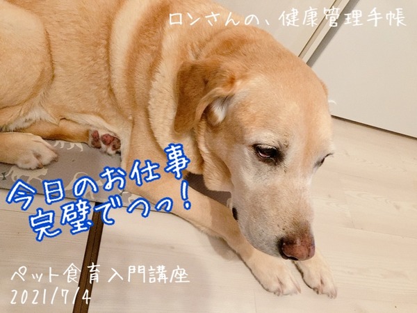 F84A5F99-D2C2-4FA9-92C0-A73CA29DC6F1