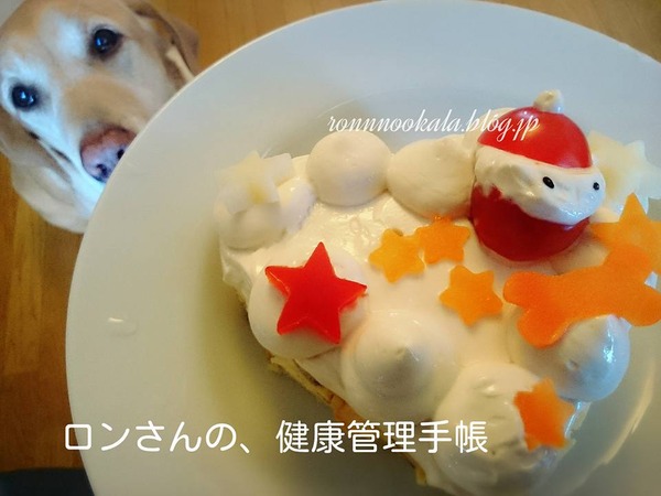 20151226 クリスマスケーキ2015 94