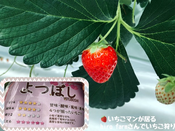7C404C91-F41D-4B41-83A3-25BC91DB5CEF