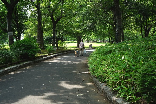 20230626 亀中0