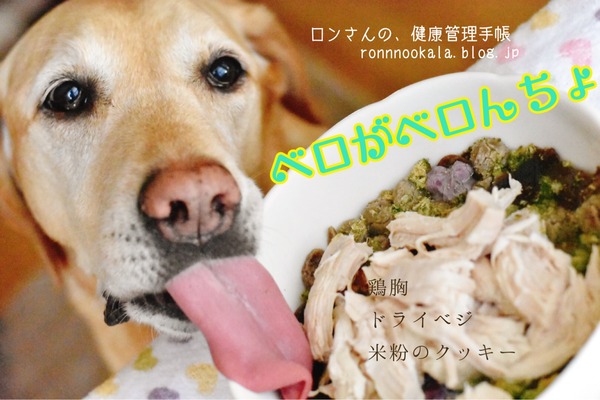 26B2476B-17BF-4DD2-97D2-663F121413F9