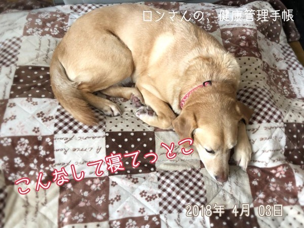 20180403 1