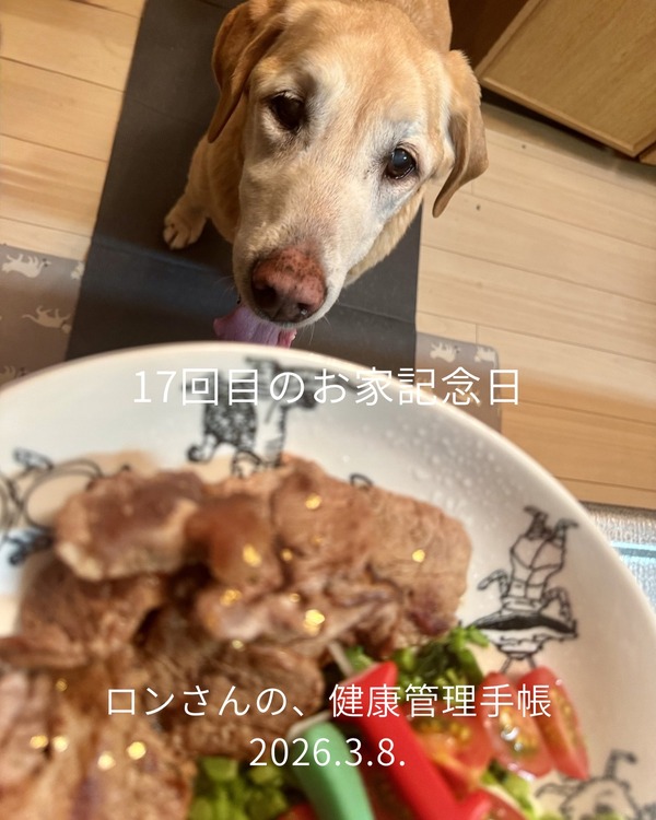 ロンさんの、健康管理手帳のコピー - 7