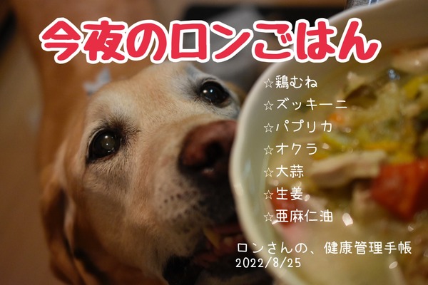 4893C578-45FB-4547-9AAA-3C4BDF86104F