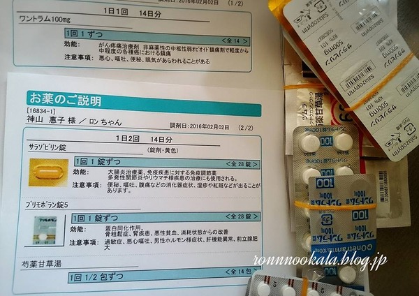 20160202 再診 処方薬 1