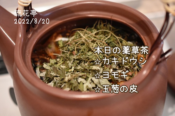 C63A0097-E385-4C5C-AFD9-26403C9E0333