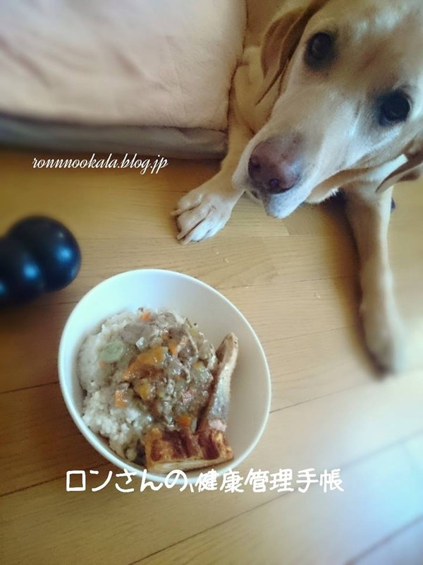 20151007 ロンご飯 留守番 2