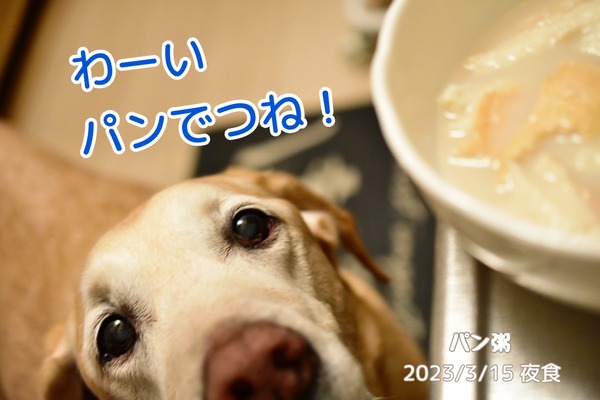 20230316 お腹事情 (5)