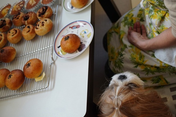 IMG_1117