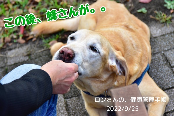 D32CCD2E-5E23-4597-8564-3DBCCAC4CC80