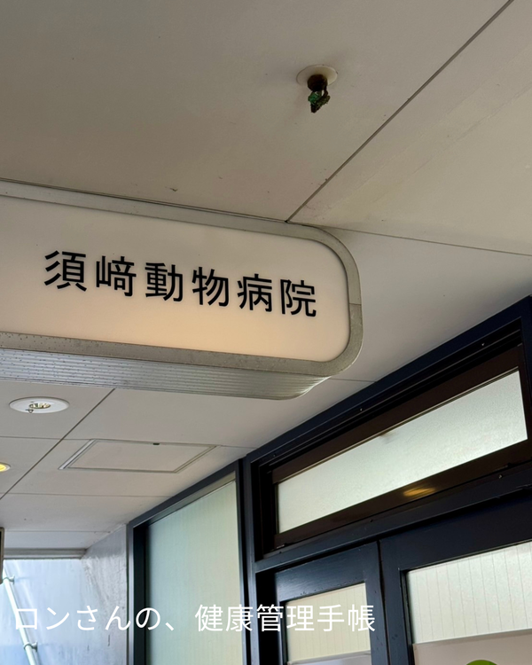 store - 18