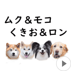 ムク＆モコ＆くきお＆ロンの動くスタンプ