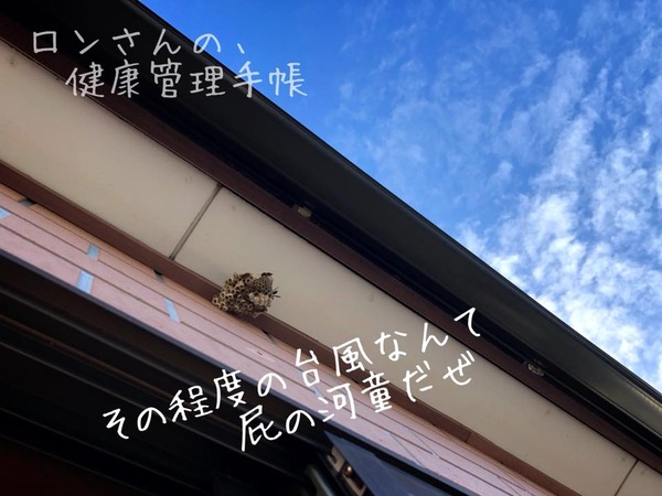 201810013