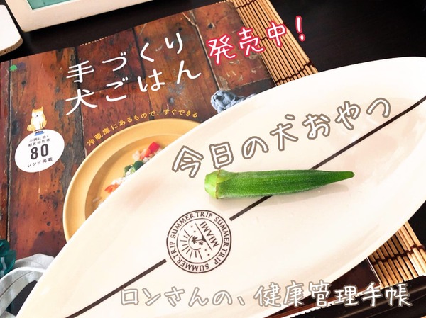 WFIP3338[1]