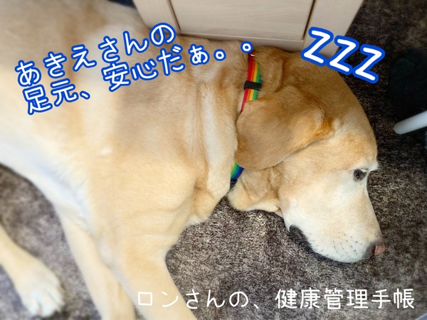 13C54930-5AD1-48E9-8B0B-FCD9D58DB211