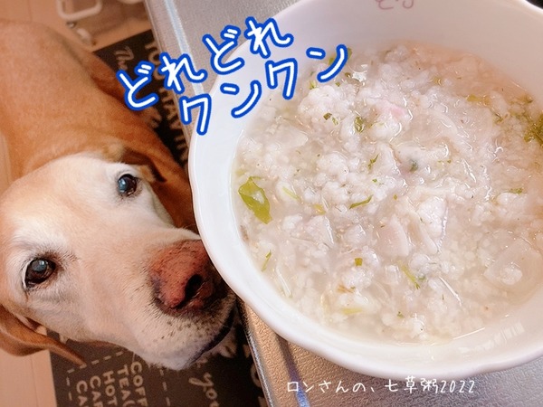 84B22D47-9223-4CF9-B5AE-C676B8A2B047