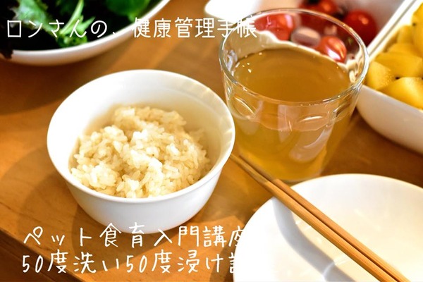 20181104 入門50度9