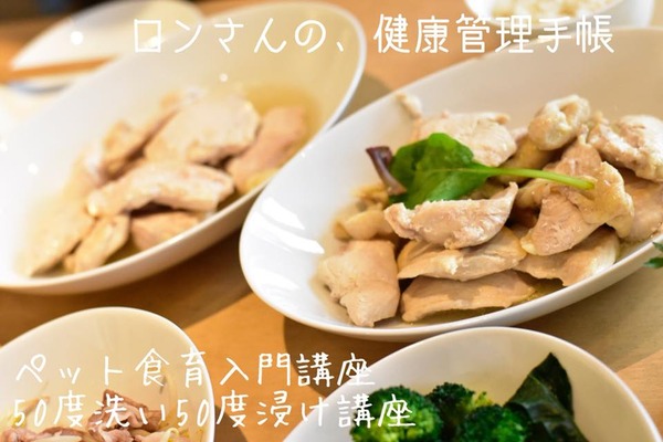 20181104 入門50度4