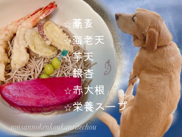 B95FCCD6-9B4B-4D8C-A404-F3F9BB5305F3