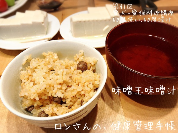 20191103入門&41回 (27)