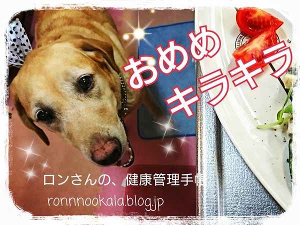 20170724 わんこだって、うなぎ 8