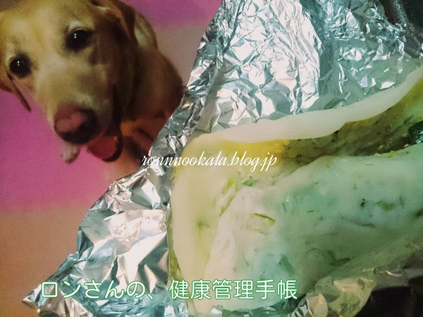 20160711 愛犬・愛猫ごはん料理講座 16回 8