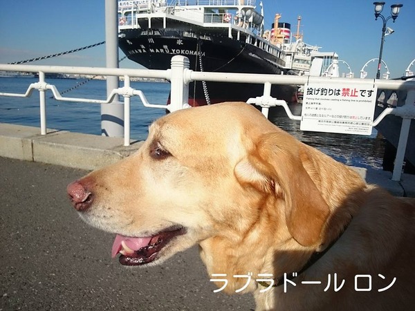 20160202 再診 お散歩 1