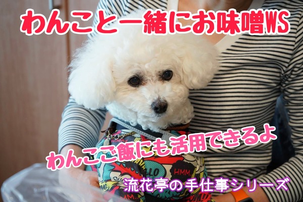 1B586CBD-0B18-4B43-824C-C752A9041FEC