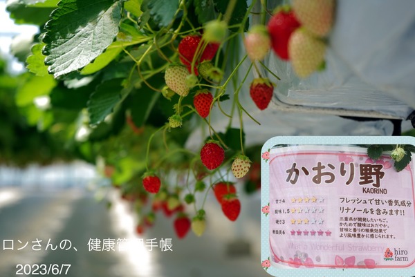8CE7F6BC-B34B-4D9F-AA52-1564733C7A4C